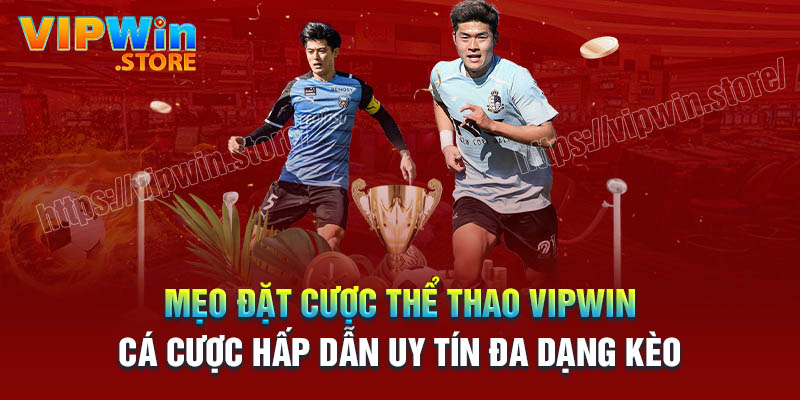 Kinh nghiệm chinh phục cá cược Thể thao Vipwin hay
