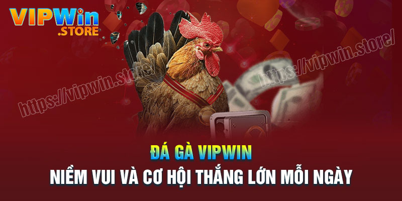 Thông tin về sảnh Đá gà Vipwin