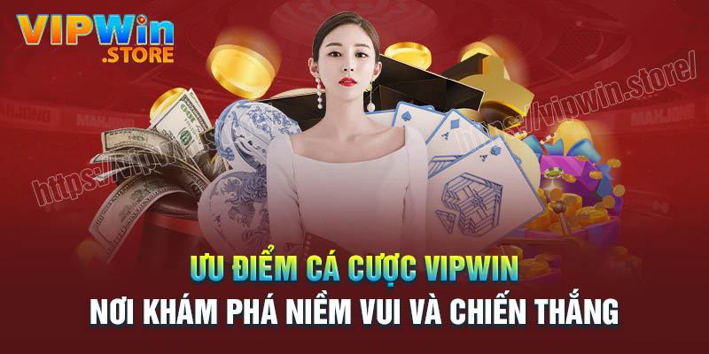 Ưu điểm nổi trội tạo nên sự thành công của Vipwin