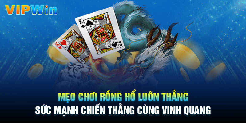 Mẹo chơi Rồng Hổ luôn thắng cho người mới
