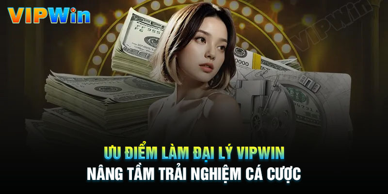 Quyền lợi và trách nhiệm khi làm đại lý Vipwin