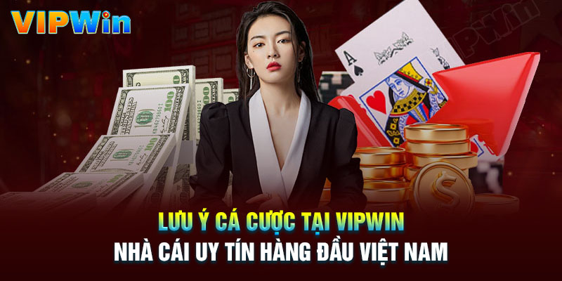 Lưu ý khi tham gia cá cược tại Vipwin