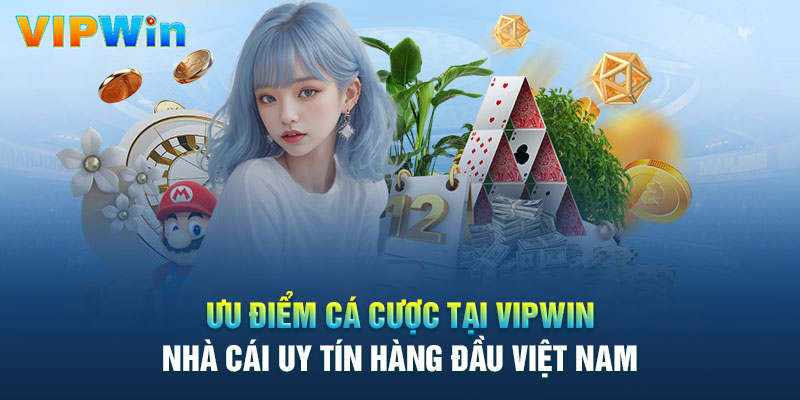 Lý do nên đăng ký cá cược tại nhà cái Vipwin